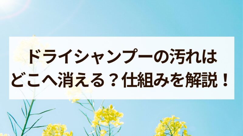 ドライシャンプー　汚れ　どこへ消える 仕組み